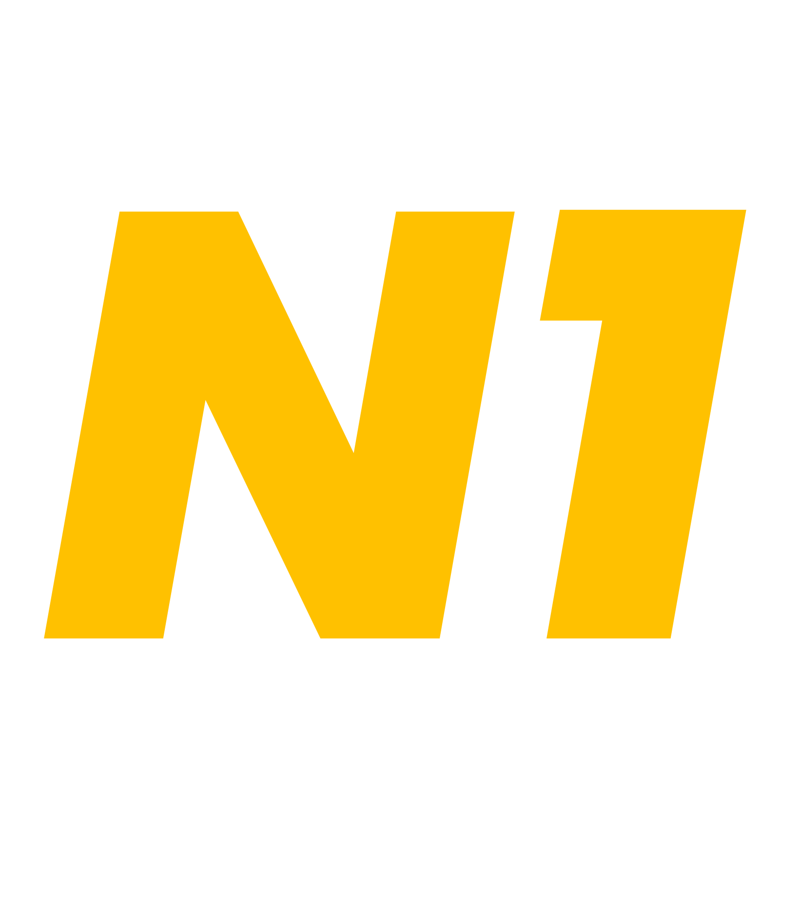 01 LOGO N1 CAR COM